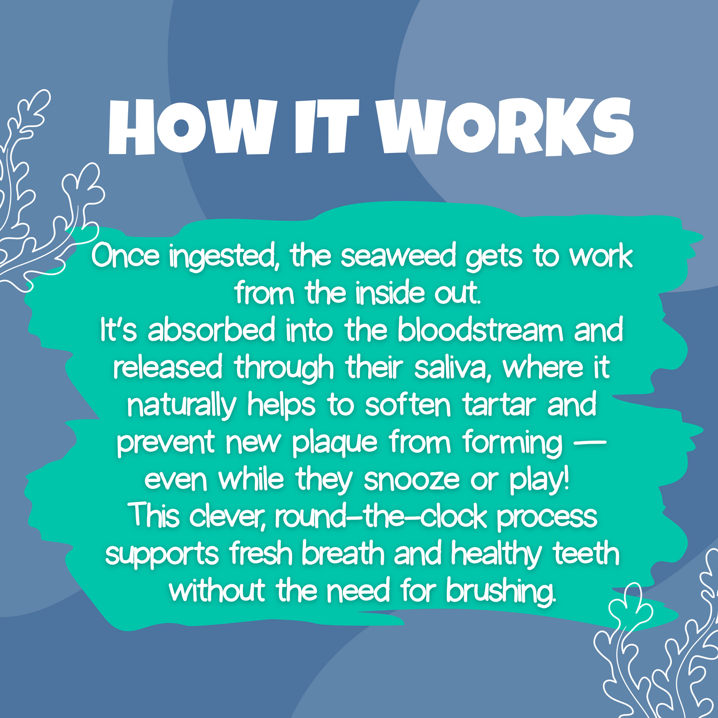 Plaque Remover - 100% Natural Seaweed Supplement for Dogs & Cats – 200g