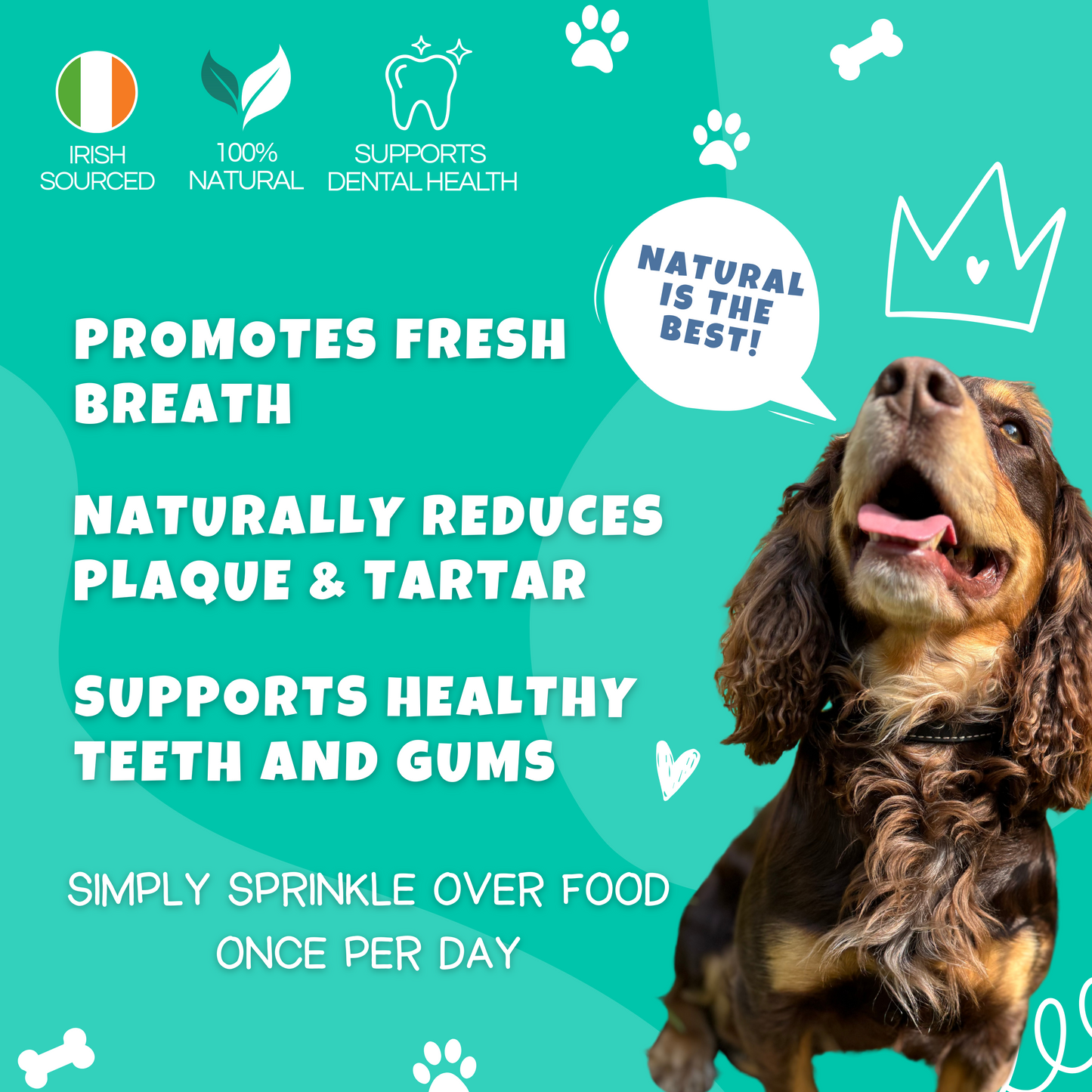 Plaque Remover - 100% Natural Seaweed Supplement for Dogs & Cats – 200g