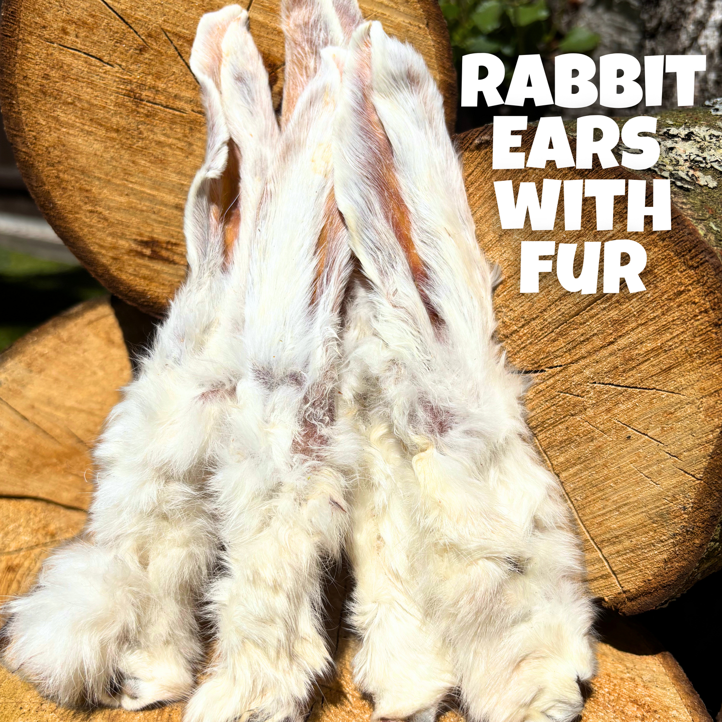 Natural dog treats – 100% air-dried rabbit ears with fur, laid on rustic wooden logs. Hypoallergenic chews rich in protein and texture, ideal for digestion, dental health, and enrichment.