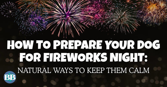 Banner with fireworks background and title ‘How to Prepare Your Dog for Fireworks Night: Natural Ways to Keep Them Calm’ — tips for keeping dogs relaxed and using natural treats for enrichment.