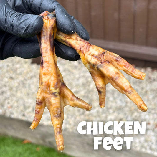 Natural dog treats – 100% air-dried chicken feet arranged on rustic wood. Crunchy chews rich in collagen and glucosamine for healthy joints and teeth.