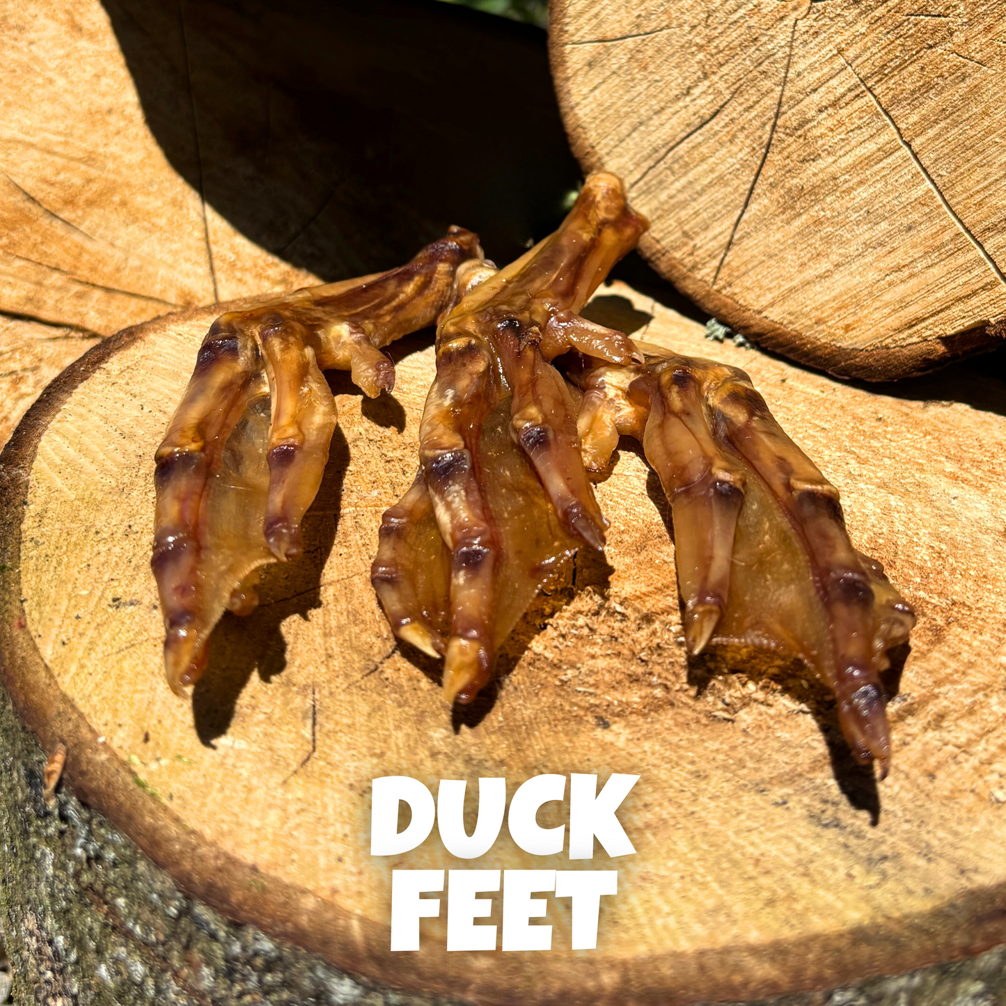 Duck Feet – Natural Dog Treat