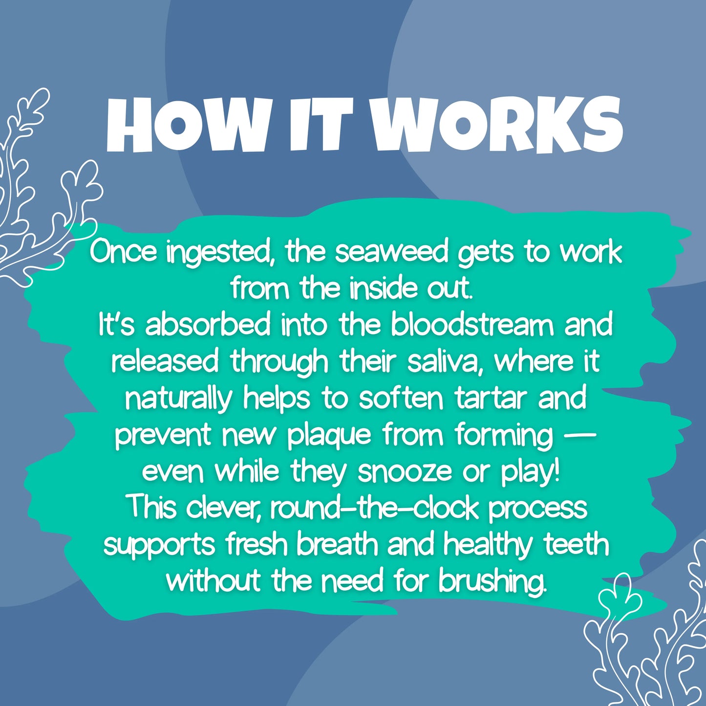 Plaque Remover – 100% natural seaweed supplement for dogs and cats, 200g. Supports dental health and fresh breath, helps reduce plaque and tartar. How it works. Naturally soften tartar and prevent new plaque from forming. Supports fresh breath and healthy teeth without the need for brushing