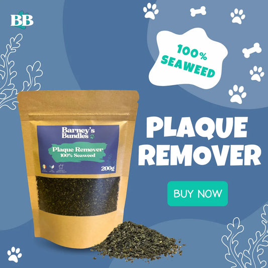 Plaque Remover – 100% natural seaweed supplement for dogs and cats, 200g. Supports dental health and fresh breath, helps reduce plaque and tartar. Blue background