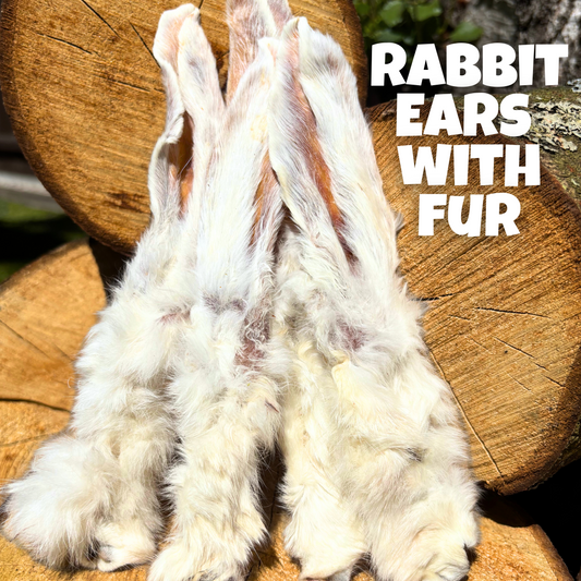 Natural dog treats – 100% air-dried rabbit ears with fur, laid on rustic wooden logs. Hypoallergenic chews rich in protein and texture, ideal for digestion, dental health, and enrichment.