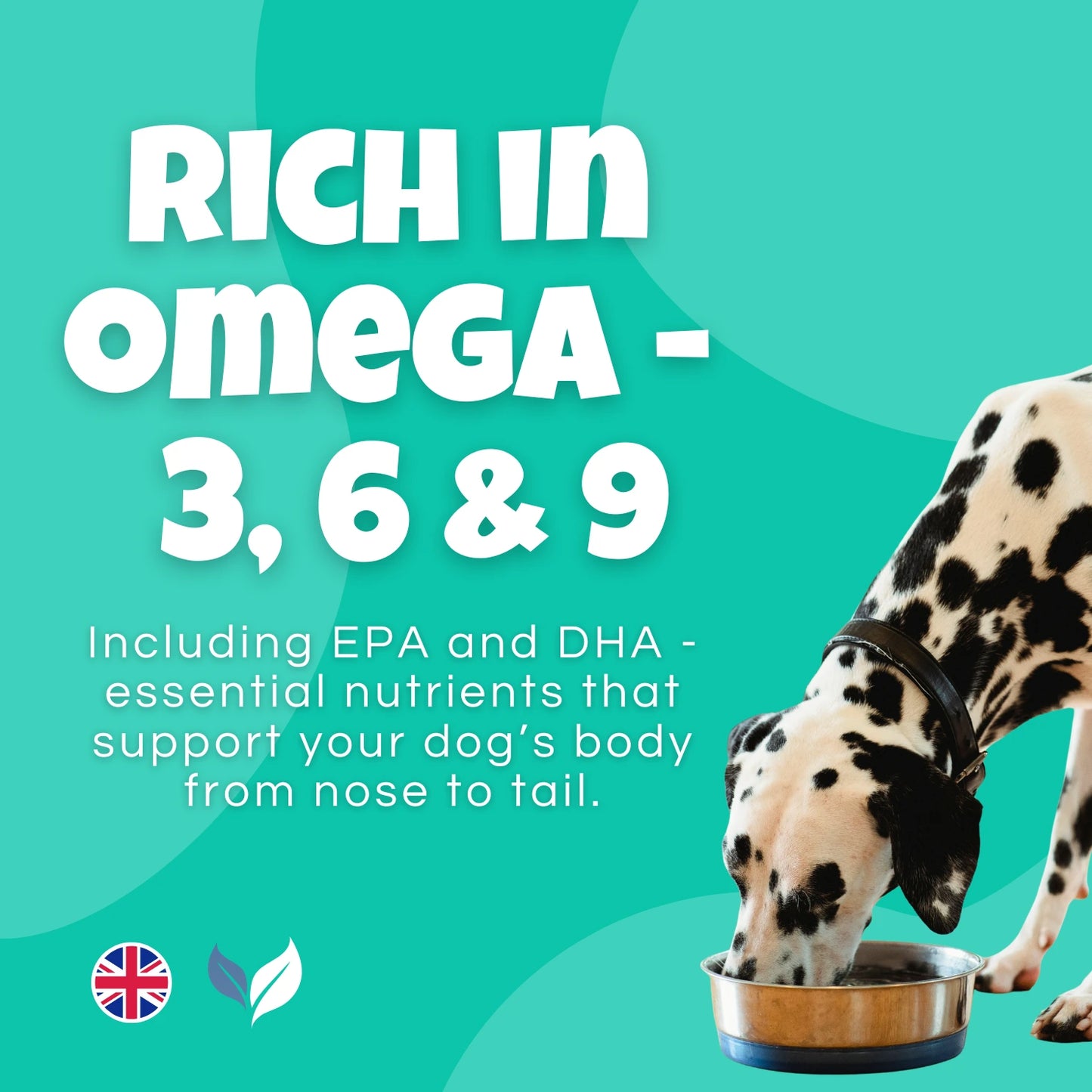 Barney's Bundles Pure Scottish Salmon Oil graphic featuring a Dalmatian eating from a bowl, highlighting Omega-3, 6 and 9 fatty acids for healthy skin, coat, joints and overall wellbeing. Supplement for dogs