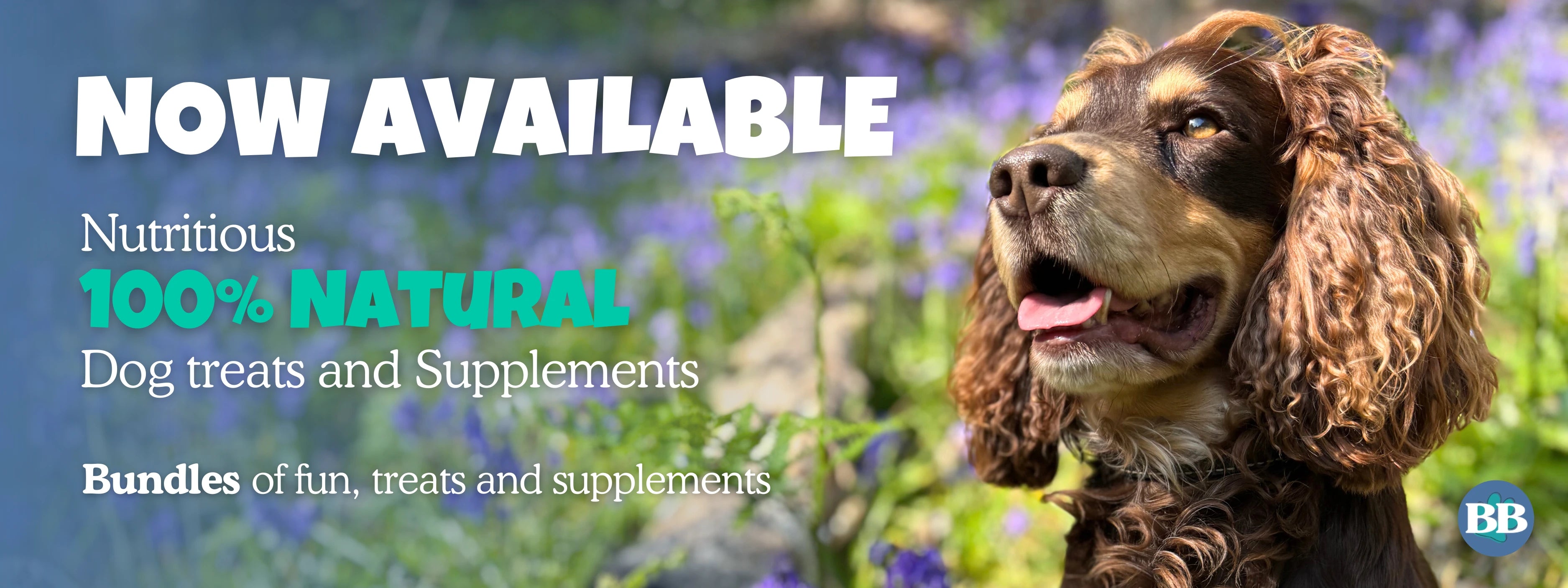Now available Nutritious 100& natural dog treats and supplements. Bundles of fun, treats and supplements. Dog in a woodland setting