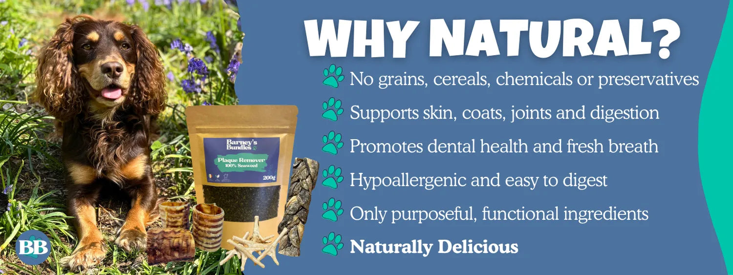 Dog standing next to natural dog treats and supplements with text - why natural? No grains, cereals, chemicals or preservatives. Supports skin, coats, joints and digestion. Promotes dental health and fresh breath. Hypoallergenic and easy to digest. Only purposeful, functional. ingredients. Naturally Delicious