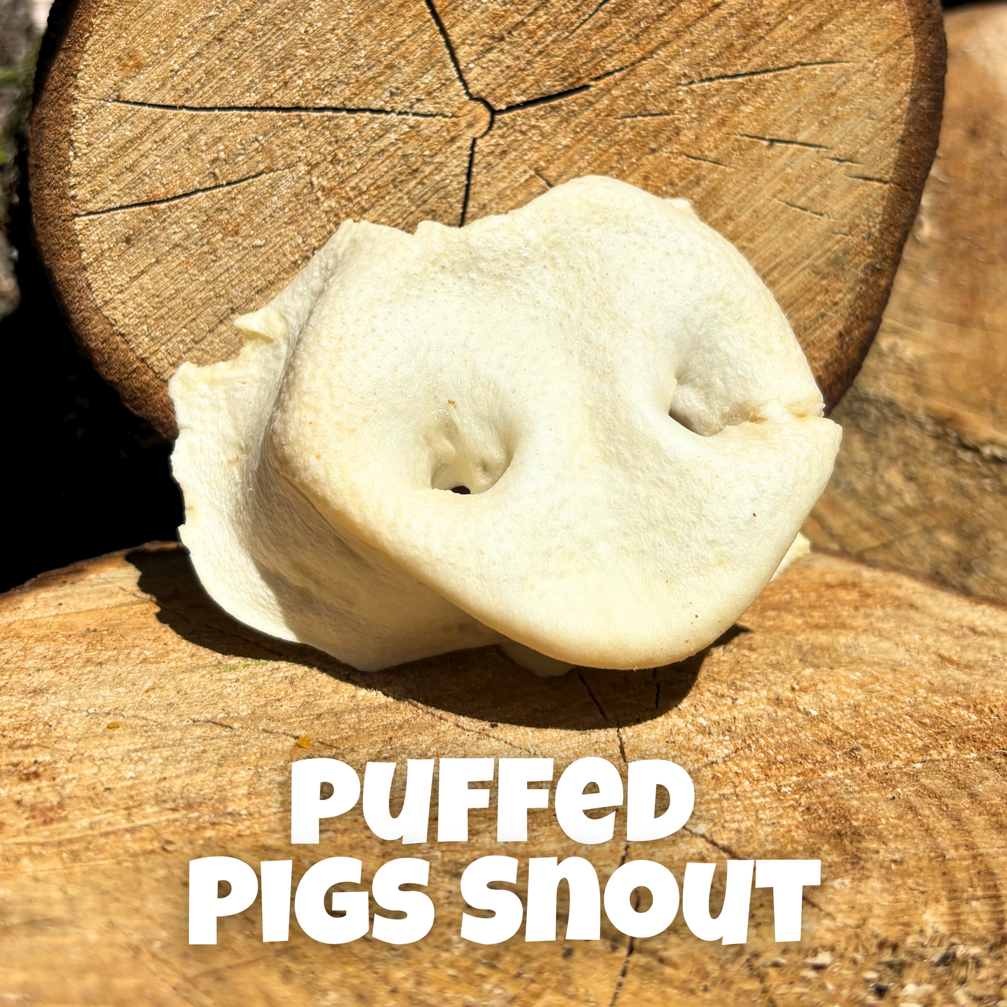Puffed Pigs Snout - Natural Dog Treat